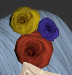 Rainbow Old Rose Corsage